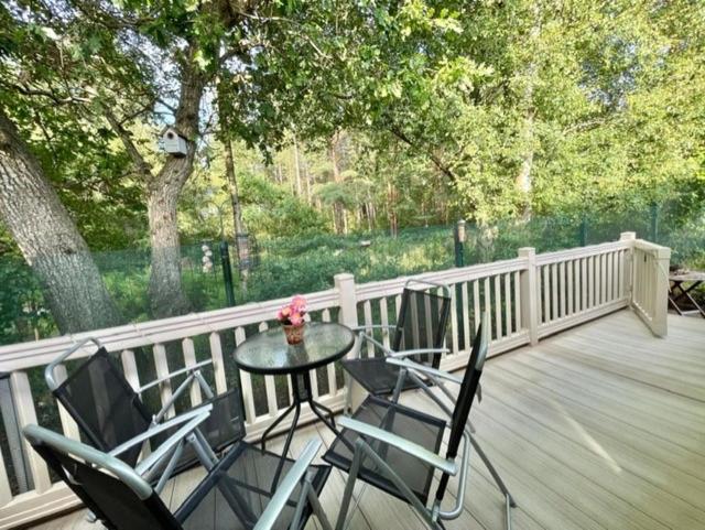 רינגווד Forest View At Oakdene Forest Park - Leisure Passes Included! מראה חיצוני תמונה