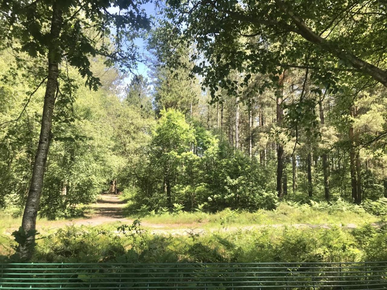 רינגווד Forest View At Oakdene Forest Park - Leisure Passes Included! מראה חיצוני תמונה