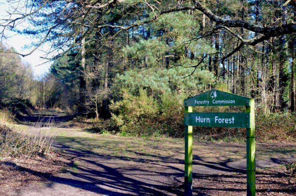 רינגווד Forest View At Oakdene Forest Park - Leisure Passes Included! מראה חיצוני תמונה